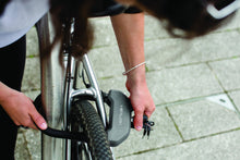 Load image into Gallery viewer, DXC Lock
